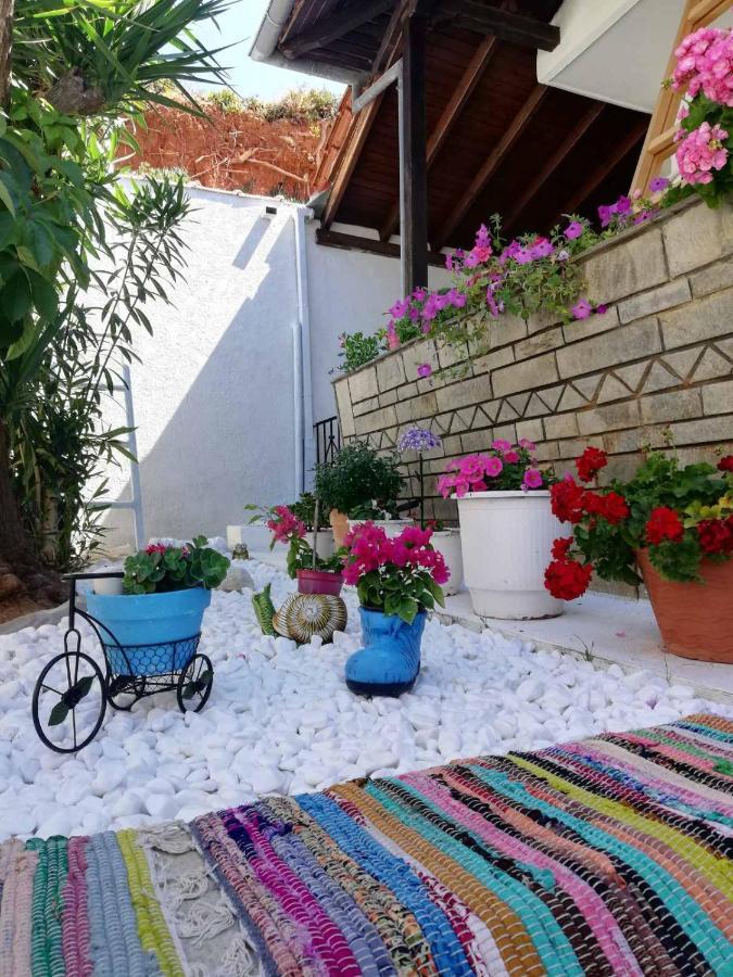 Christina-anna Seaside Luxury House * Nikiti (Sithonia)